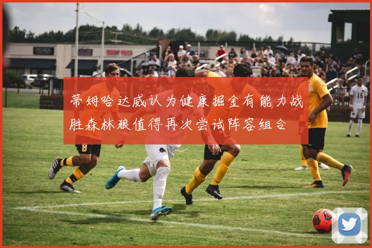 蒂姆哈达威认为健康掘金有能力战胜森林狼值得再次尝试阵容组合